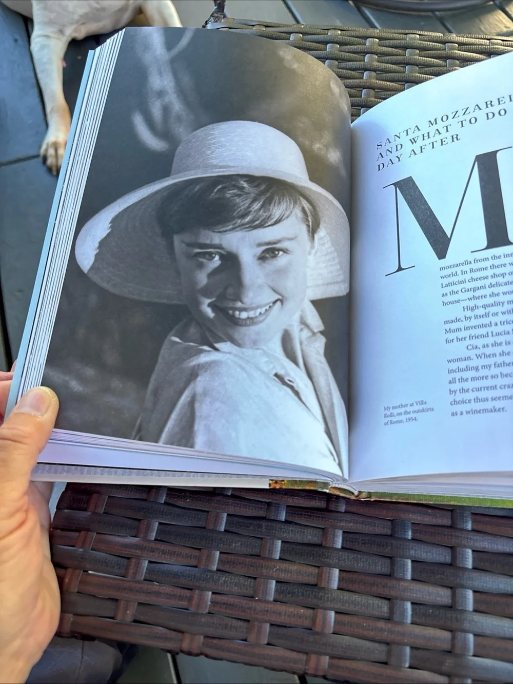 N/A audrey home